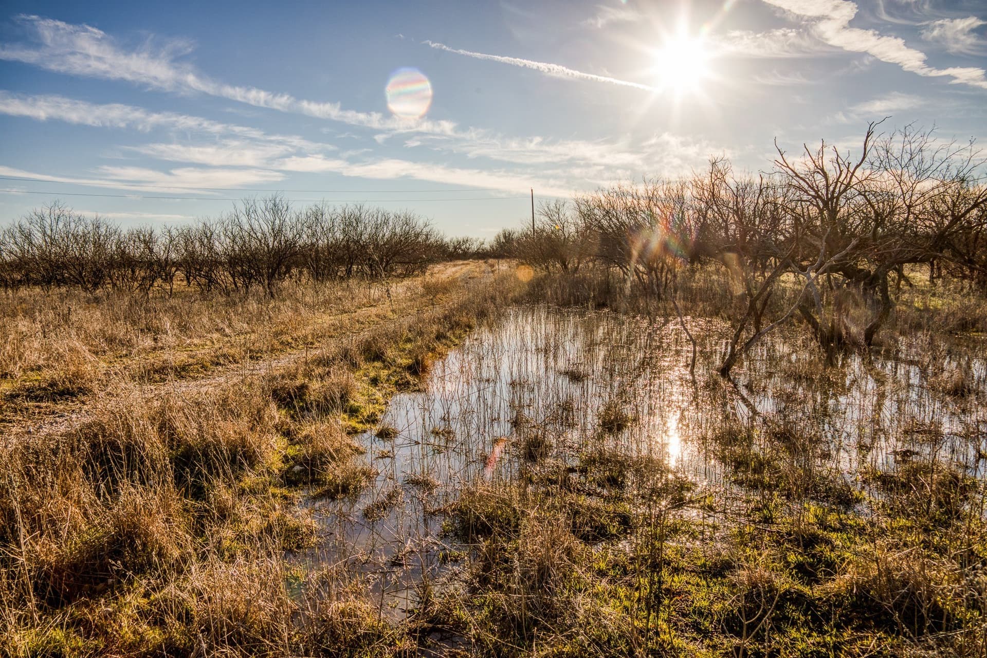 113 acres in Young County - photo 19