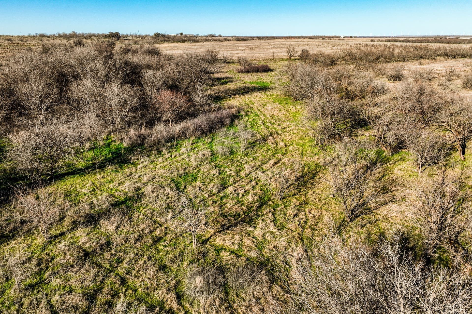 113 acres in Young County - photo 24