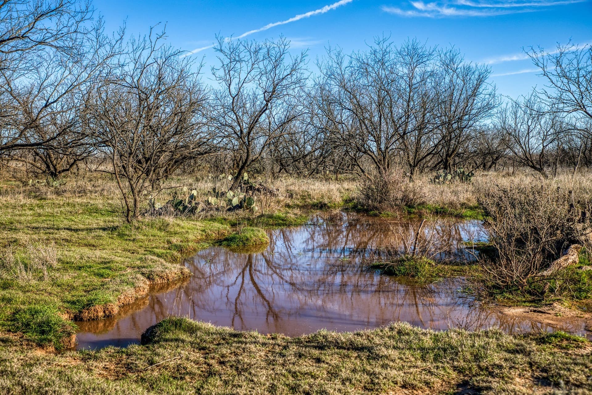 113 acres in Young County - photo 17