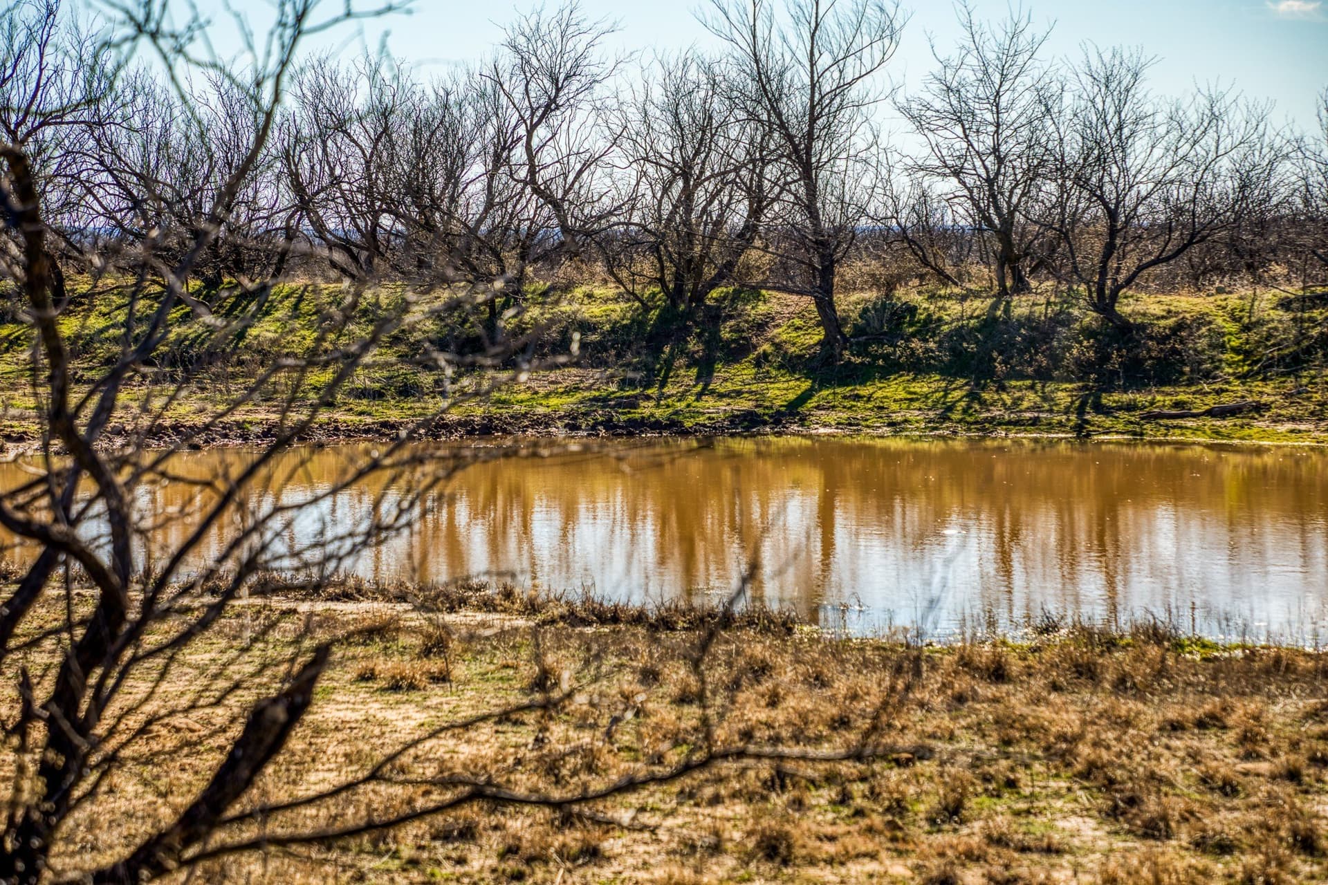 113 acres in Young County - photo 13