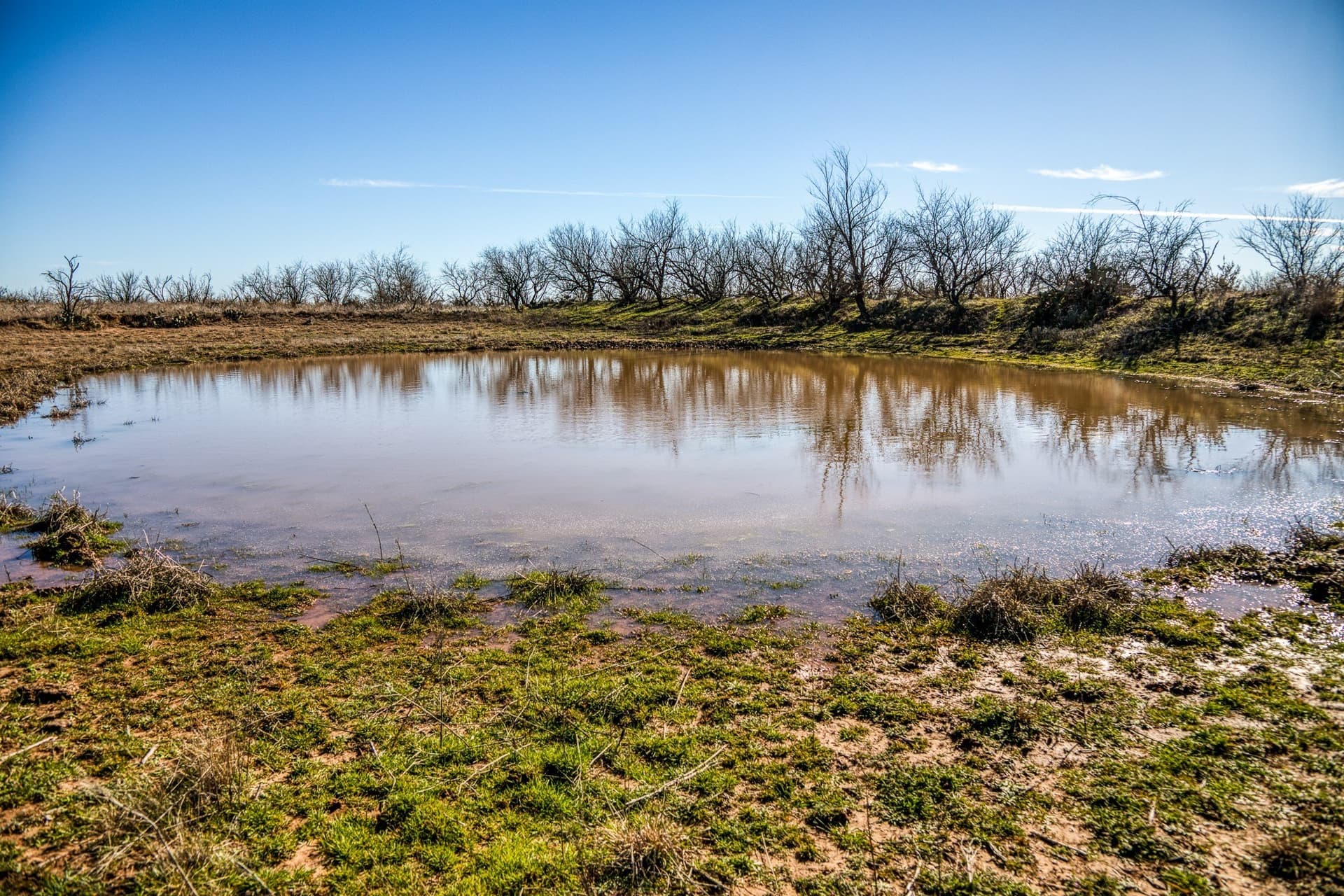 113 acres in Young County - photo 14