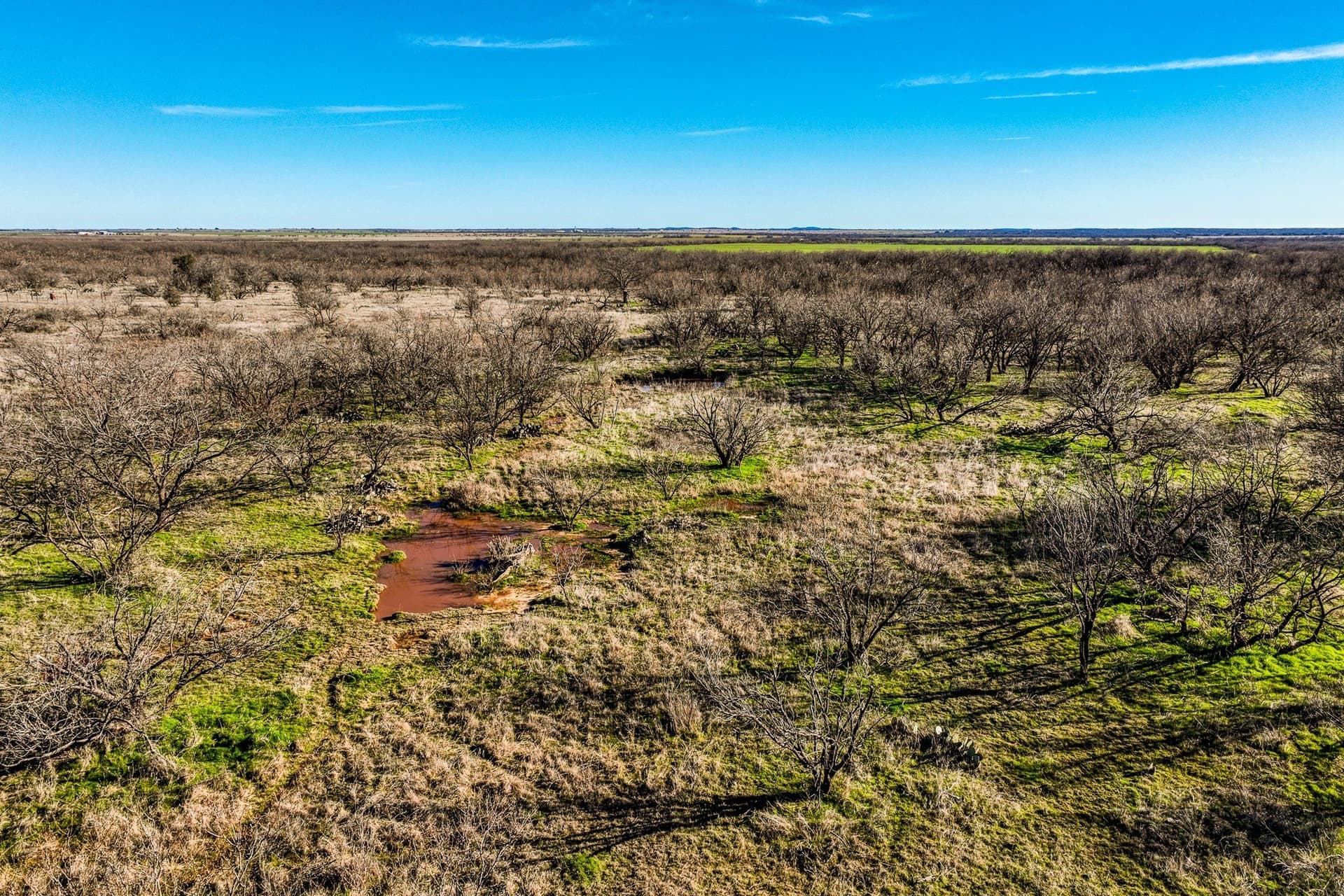 113 acres in Young County - photo 36