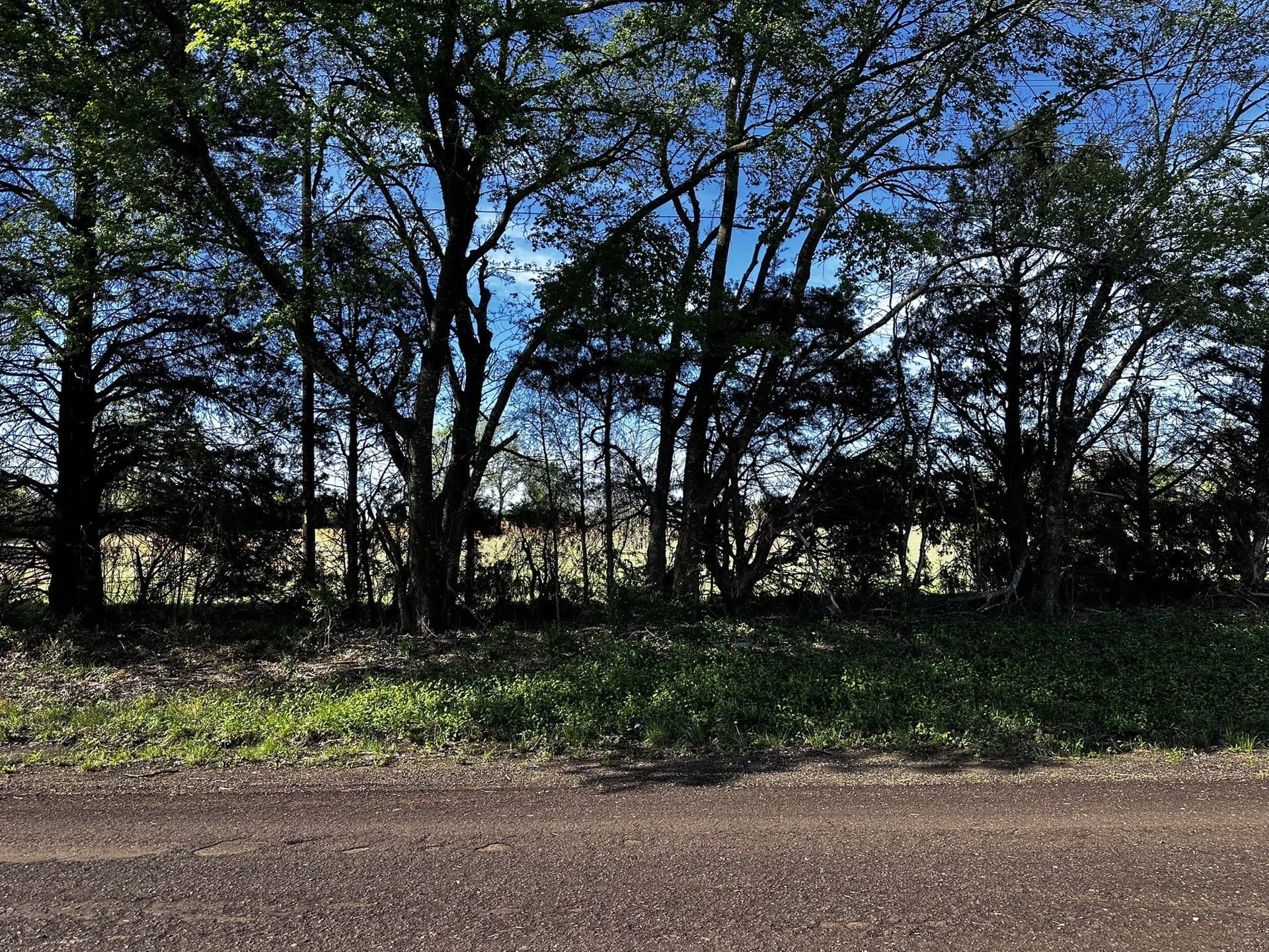 15 acres in Van Zandt County featured view