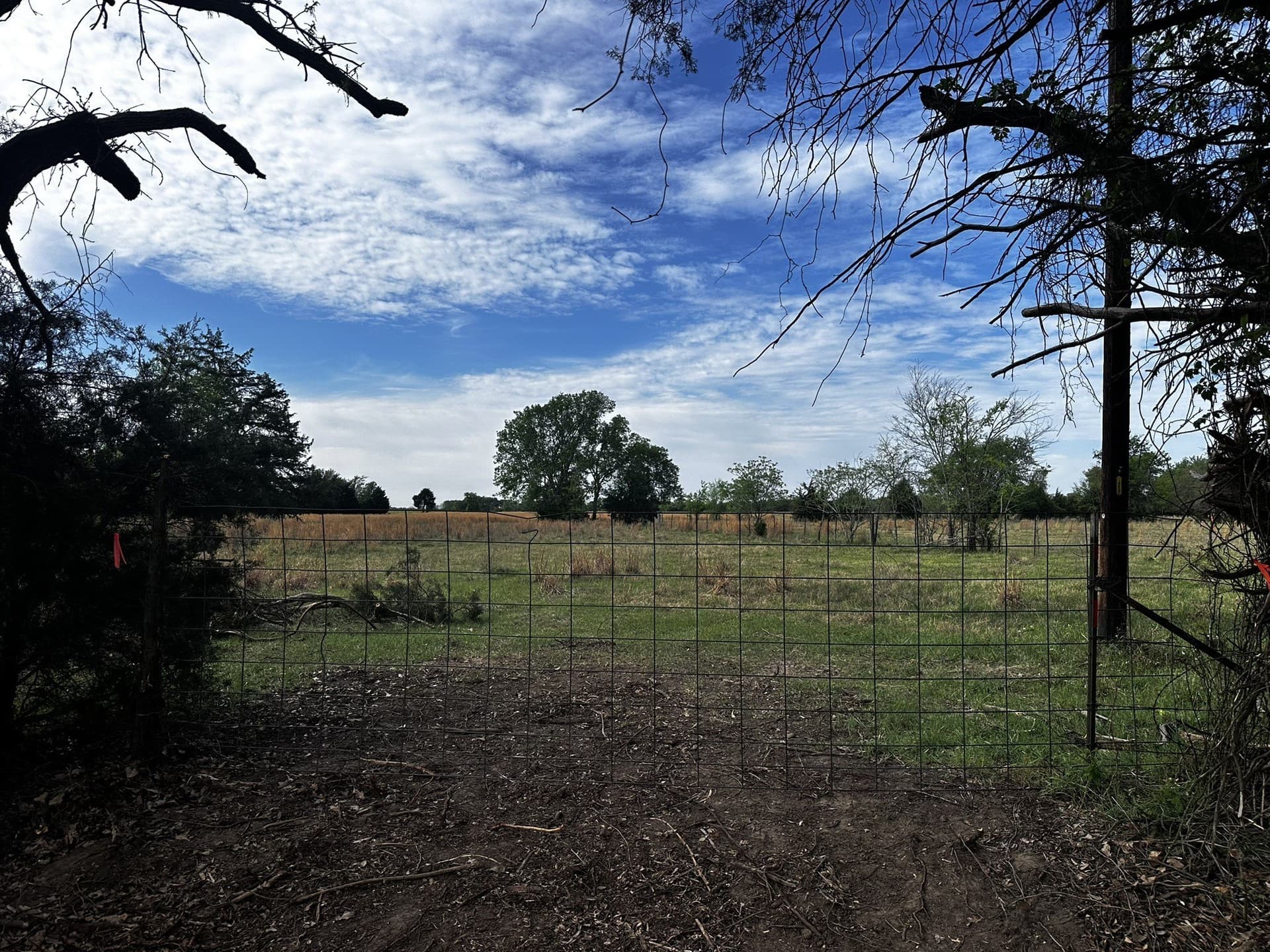 15 acres in Van Zandt County gallery image 2