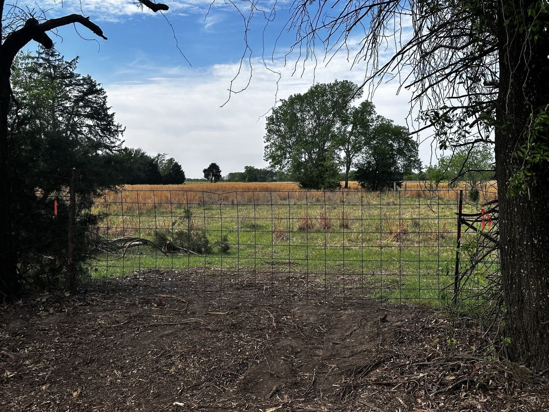 15 acres in Van Zandt County gallery image 4