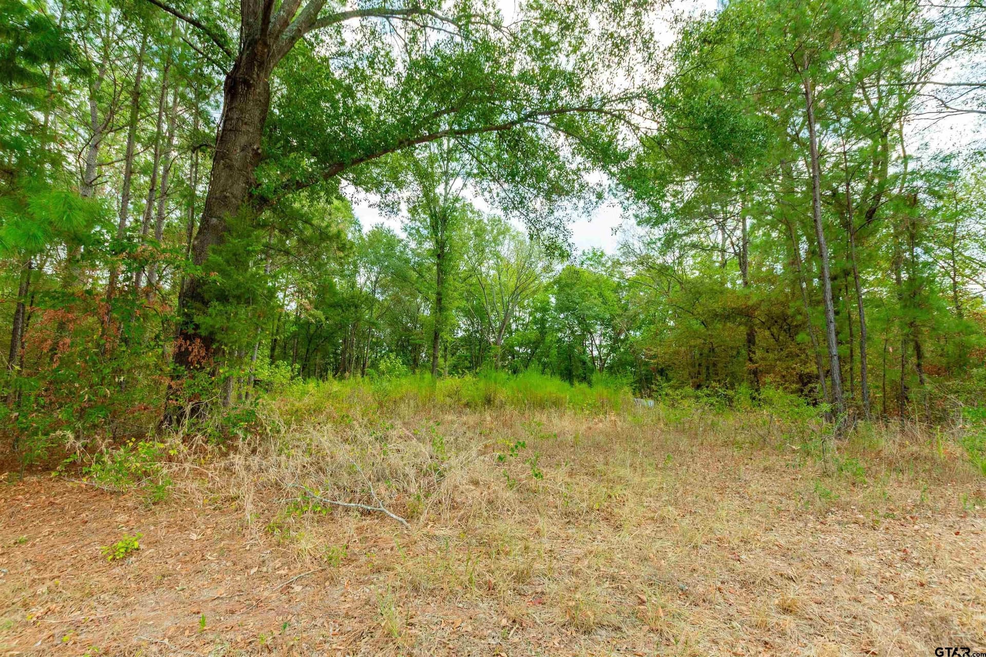 10 acres in Upshur County - photo 5
