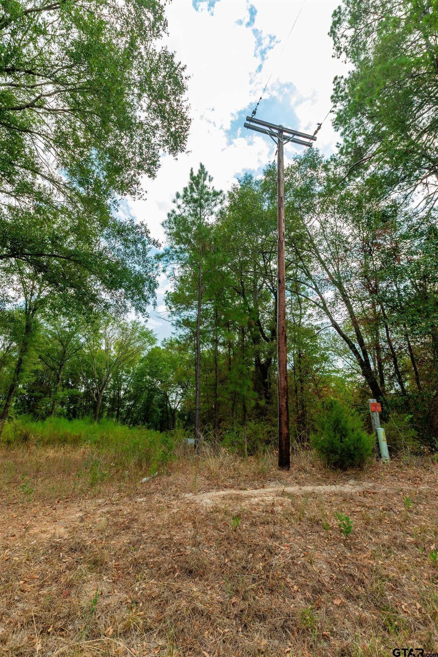 10 acres in Upshur County - photo 2