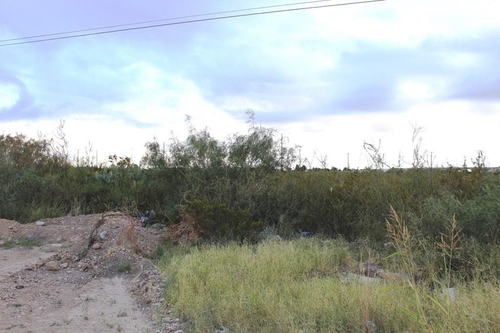 0 acres in Pecos County