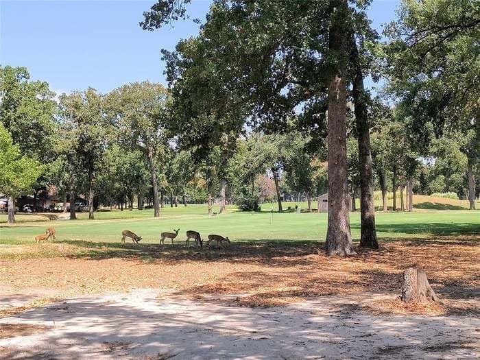 0.24 acres in Henderson County - photo 13