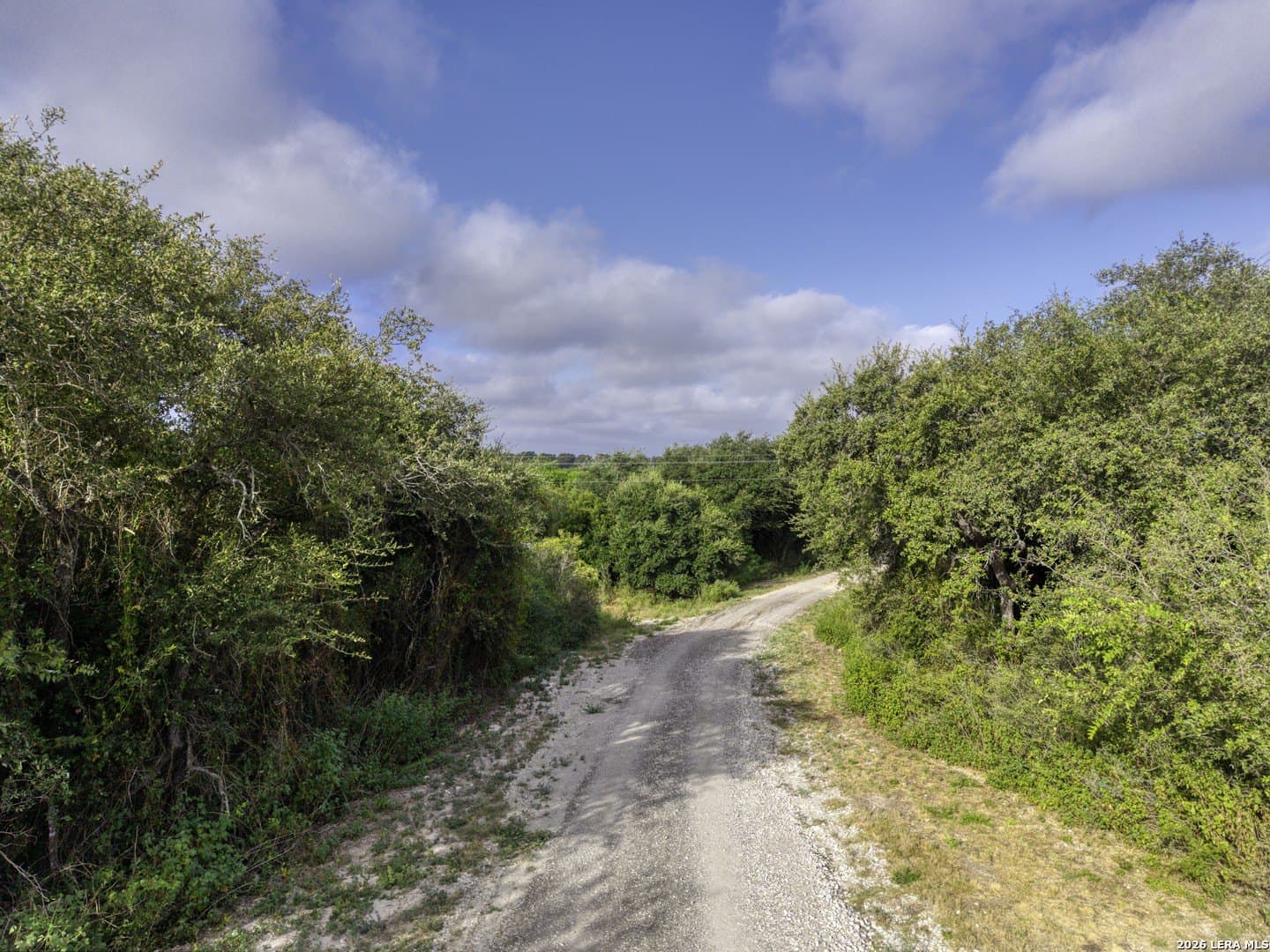 27.57 acres in Uvalde County - photo 6