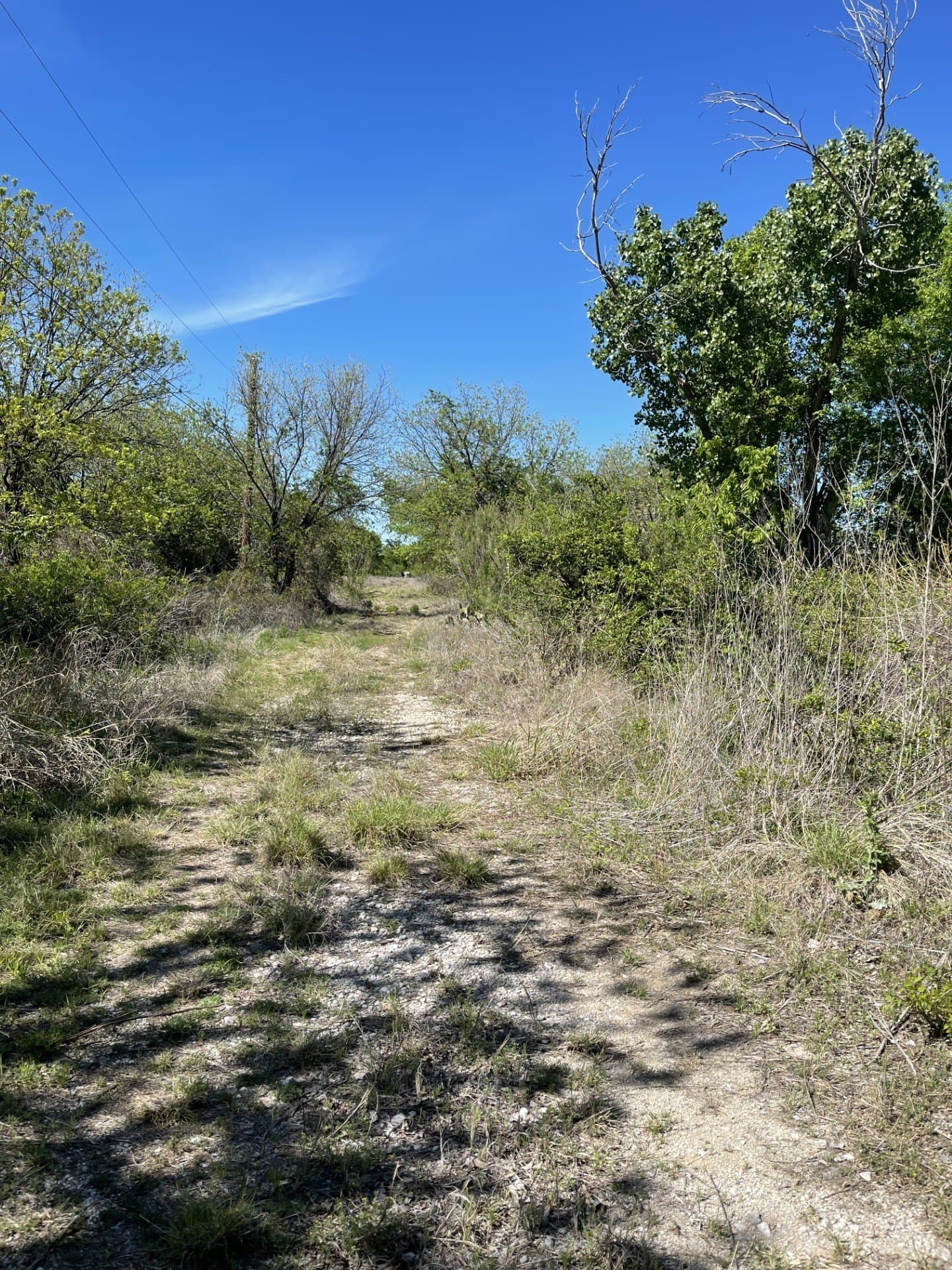 26.25 acres in Brown County - photo 6