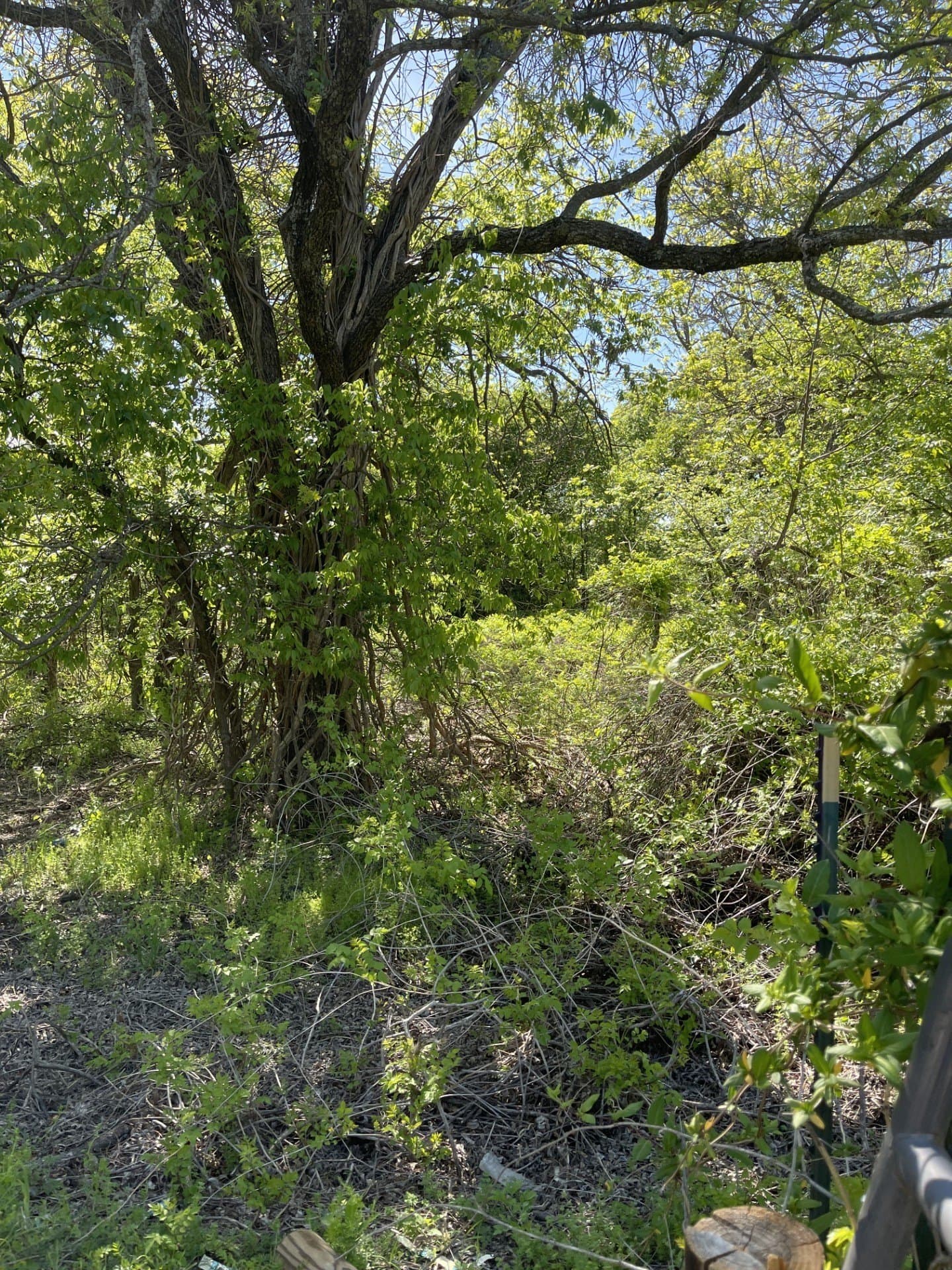 26.25 acres in Brown County - photo 8