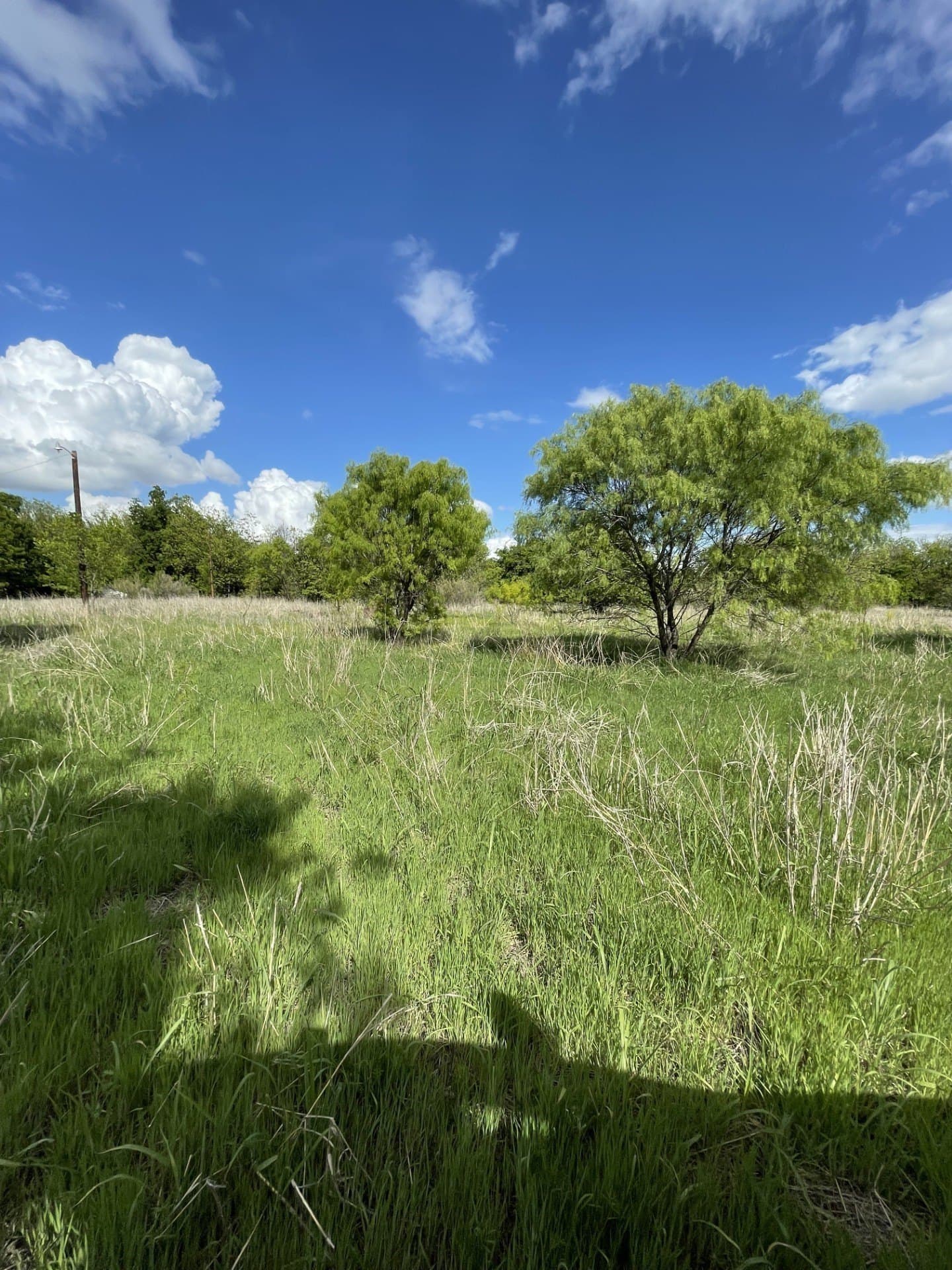 26.25 acres in Brown County - photo 9