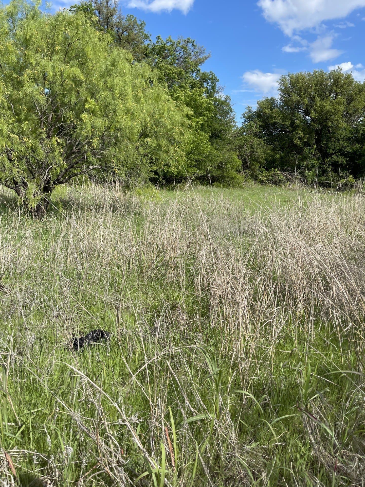 26.25 acres in Brown County - photo 3