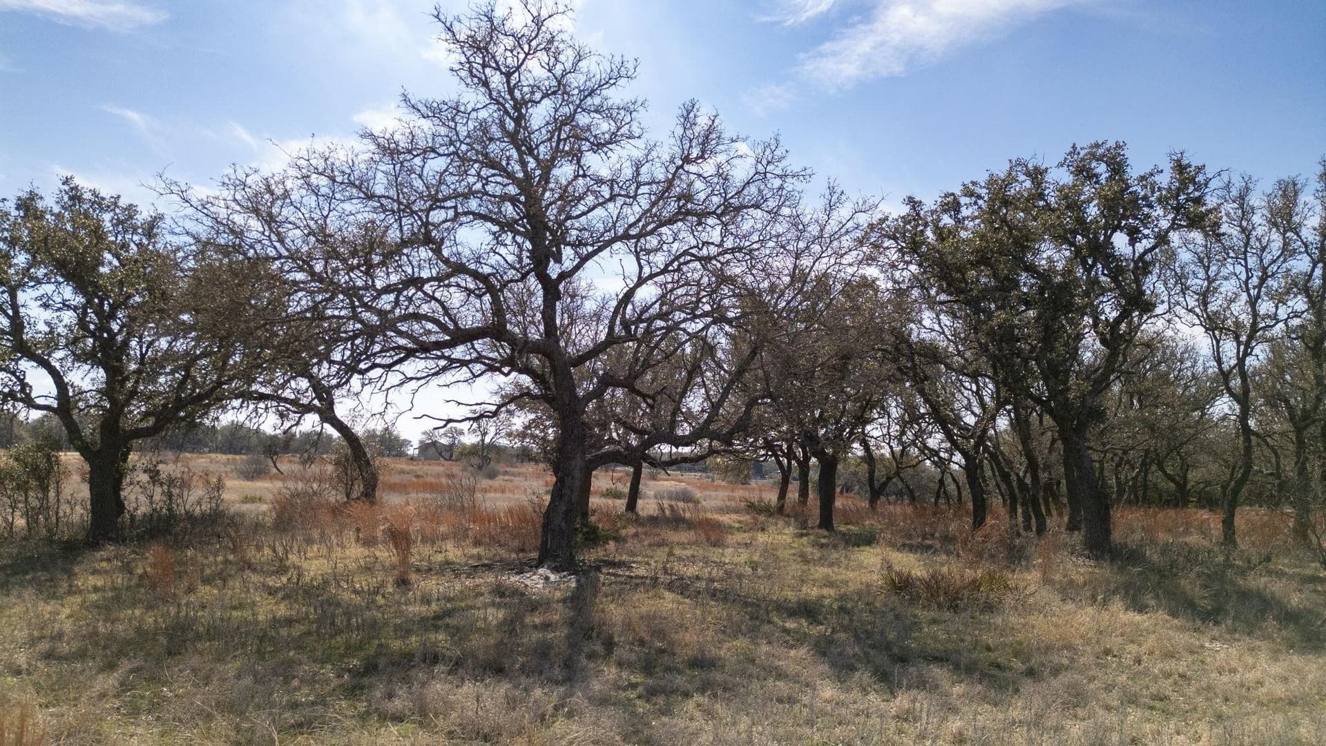 5 acres in Burnet County - photo 13