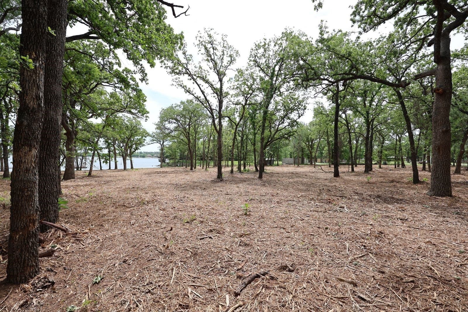 2.25 acres in Montague County - photo 8