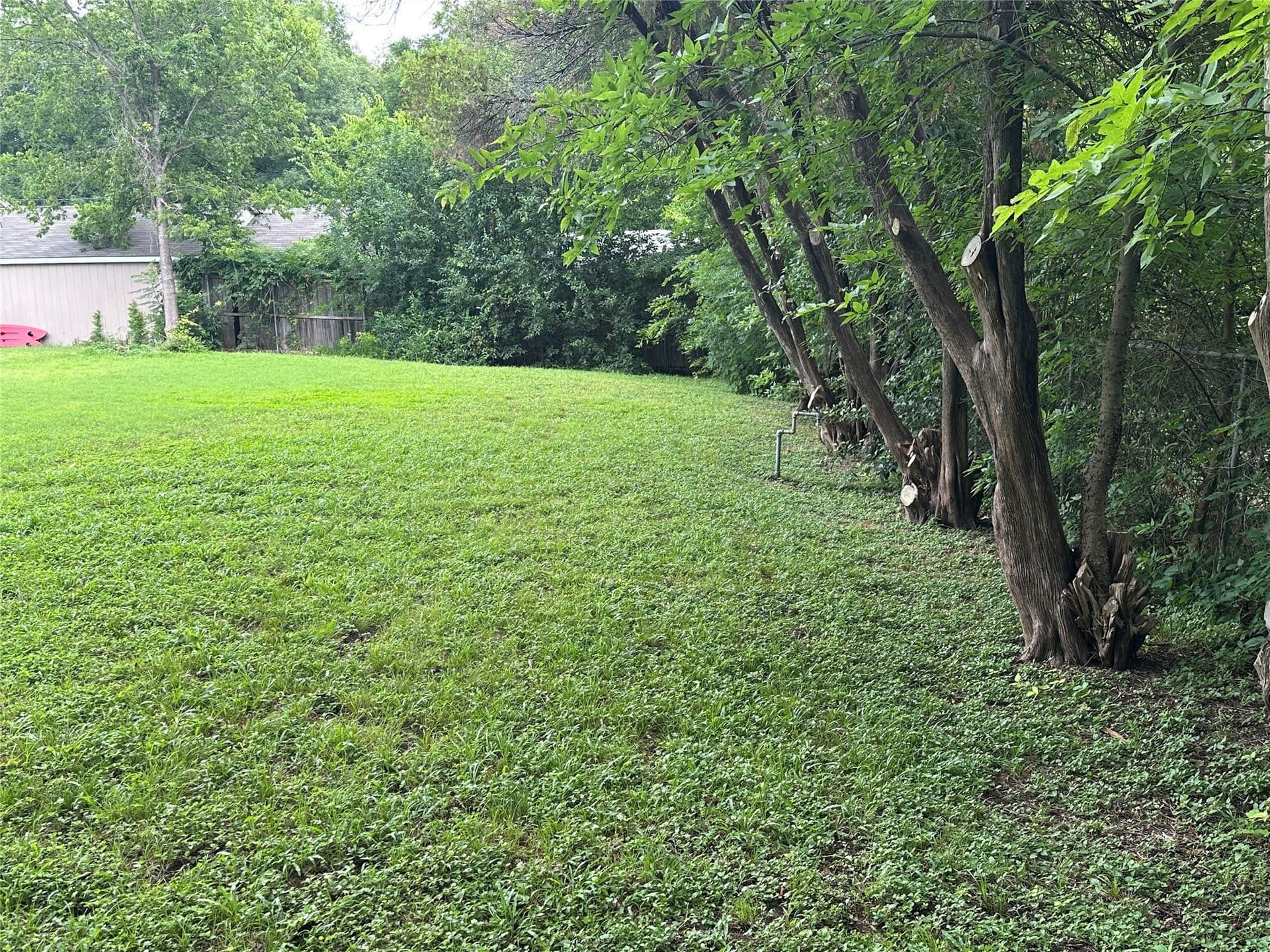 0.34 acres in Dallas County - photo 6