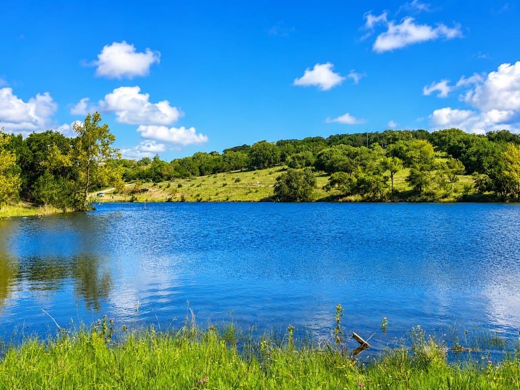 11.9 acres in Gillespie County - photo 85