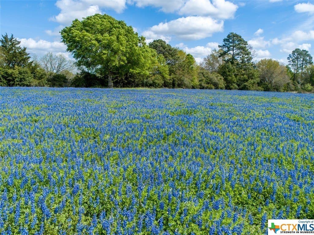 40.32 acres in Lavaca County gallery image 2
