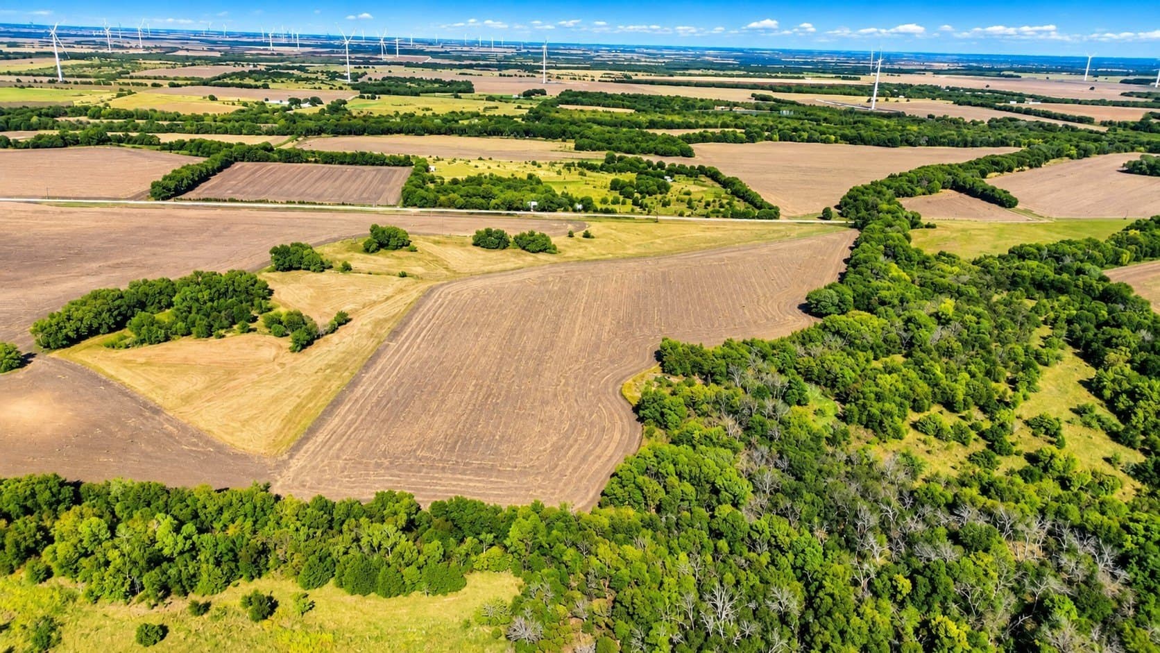39.64 acres in Hill County - photo 8