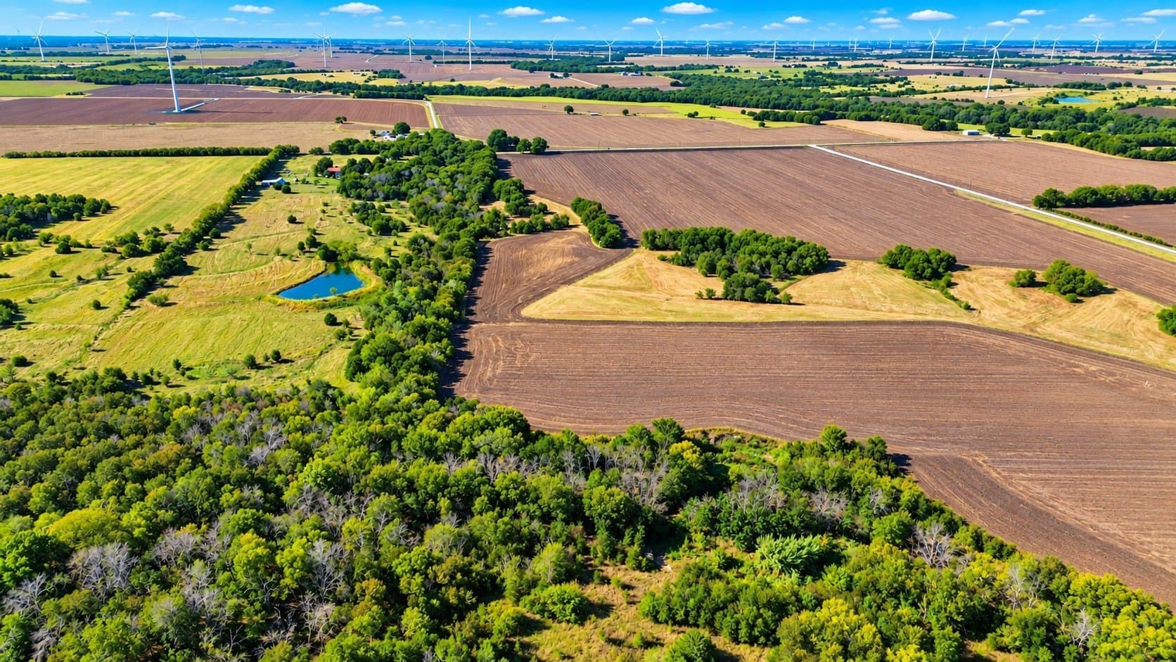 39.64 acres in Hill County - photo 10