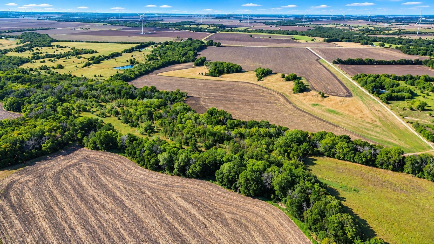 39.64 acres in Hill County - photo 4