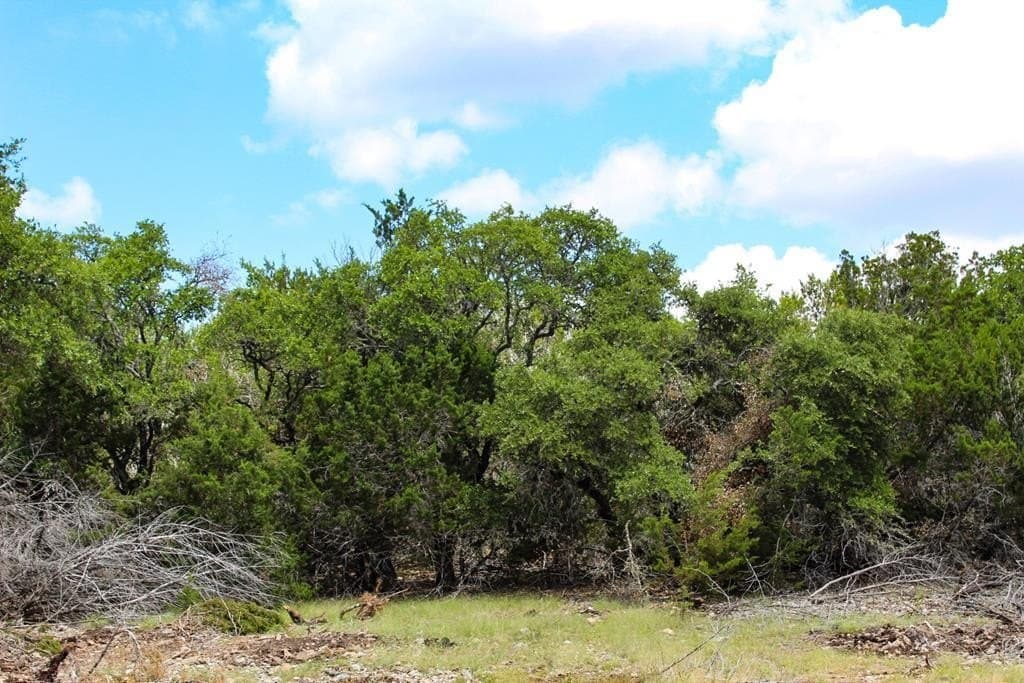 6.44 acres in Kerr County - photo 6