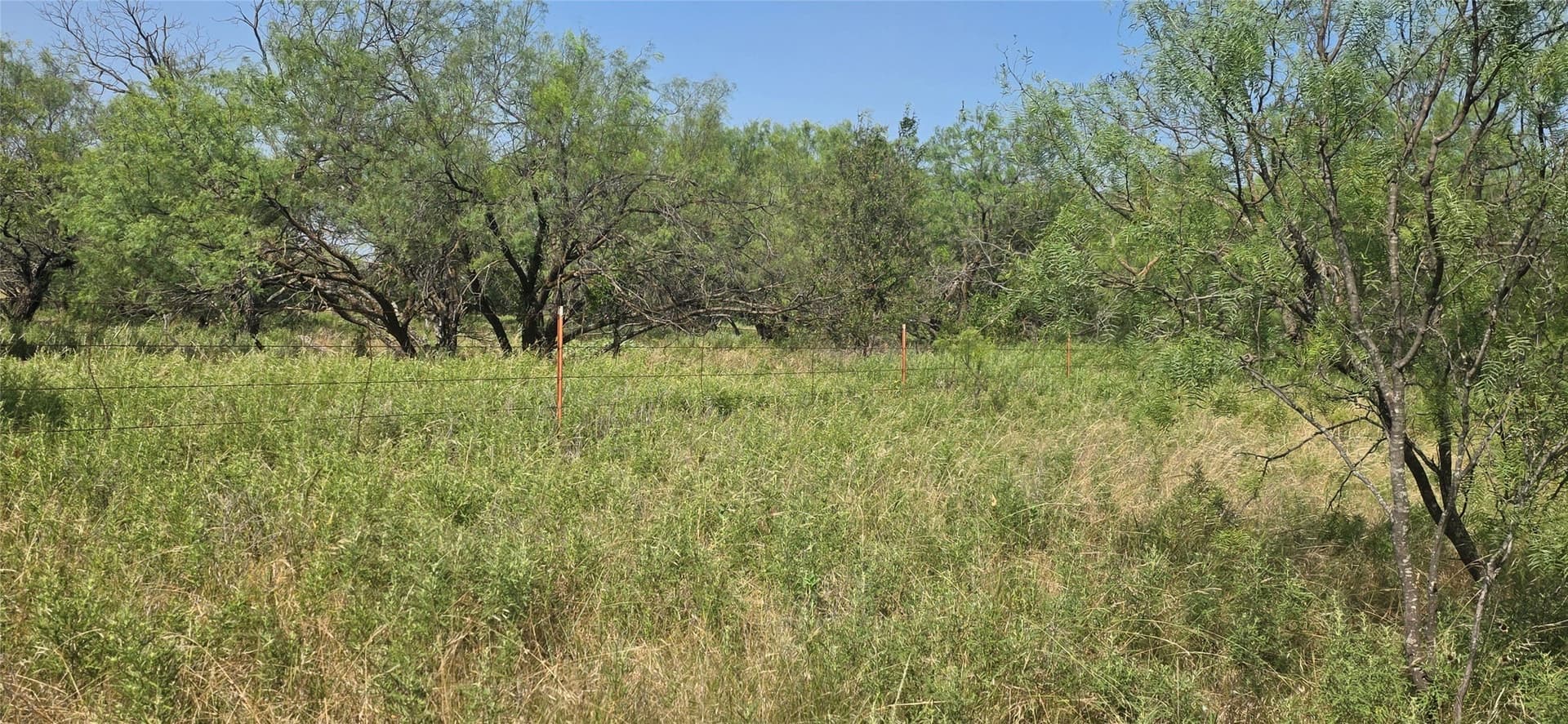 116 acres in Jack County - photo 4
