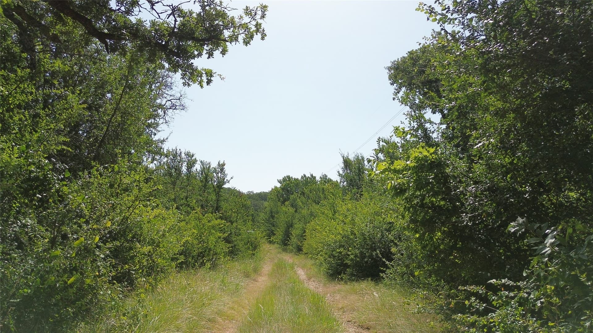 116 acres in Jack County - photo 23