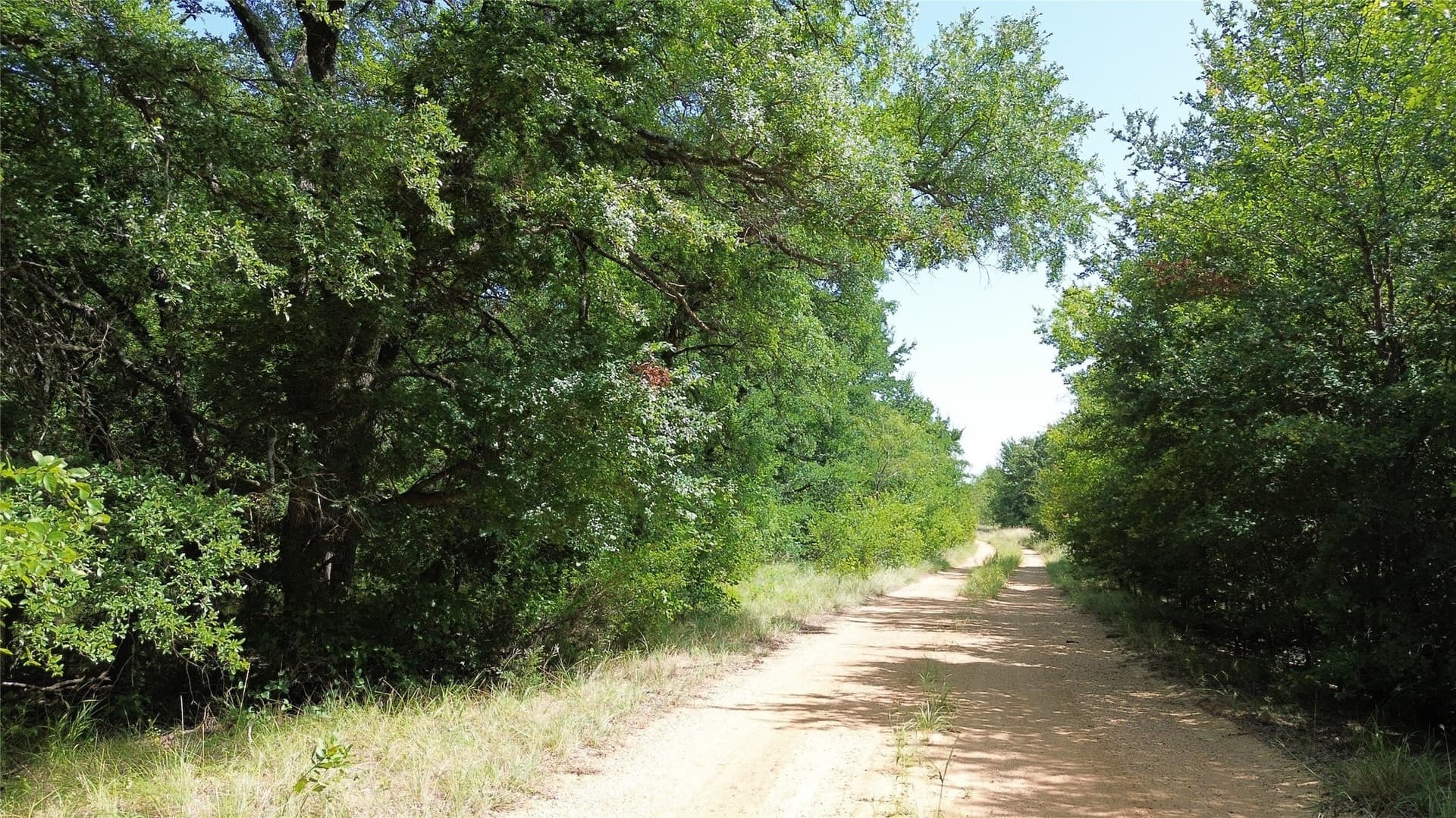 116 acres in Jack County - photo 20