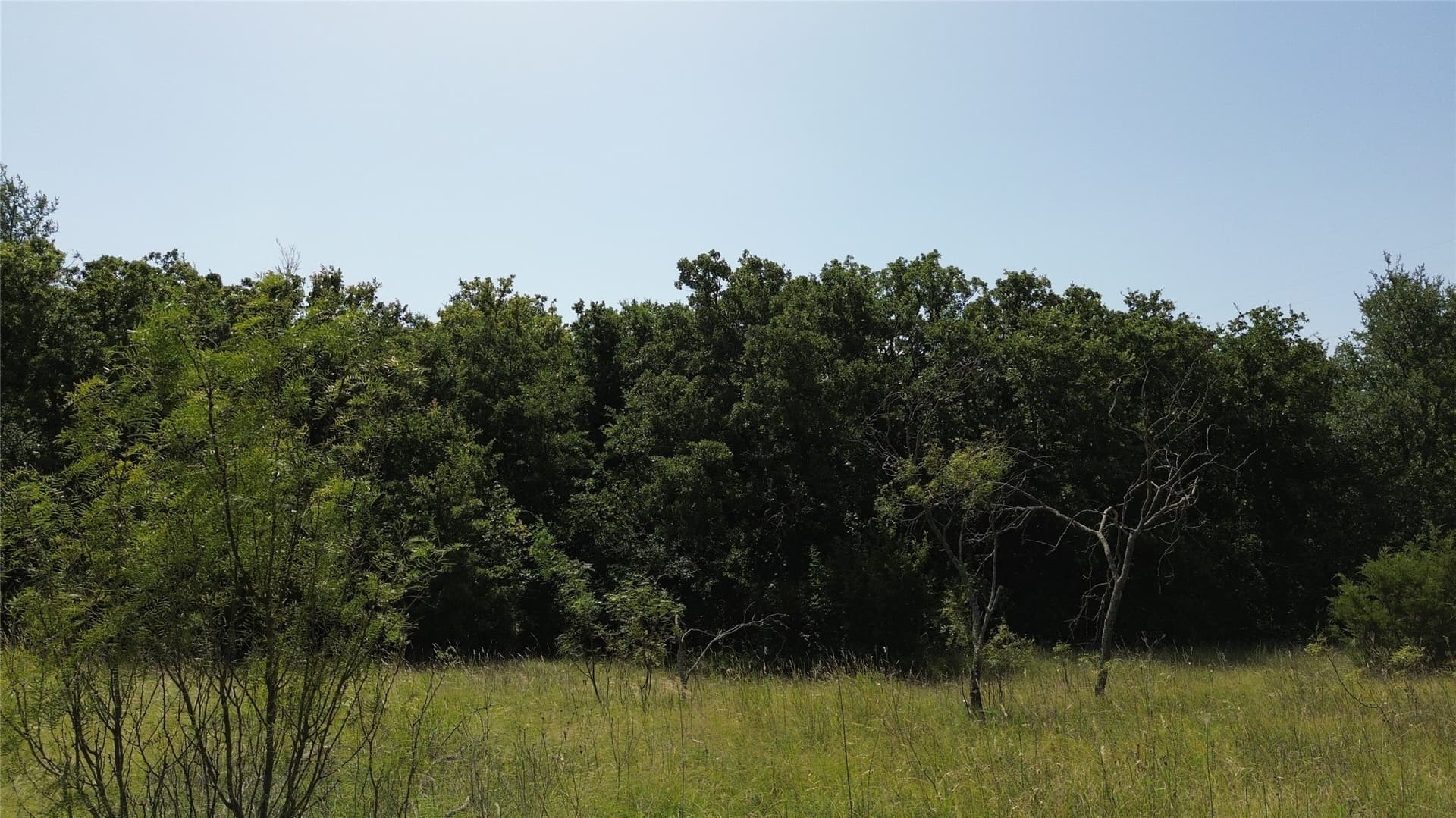 116 acres in Jack County - photo 22