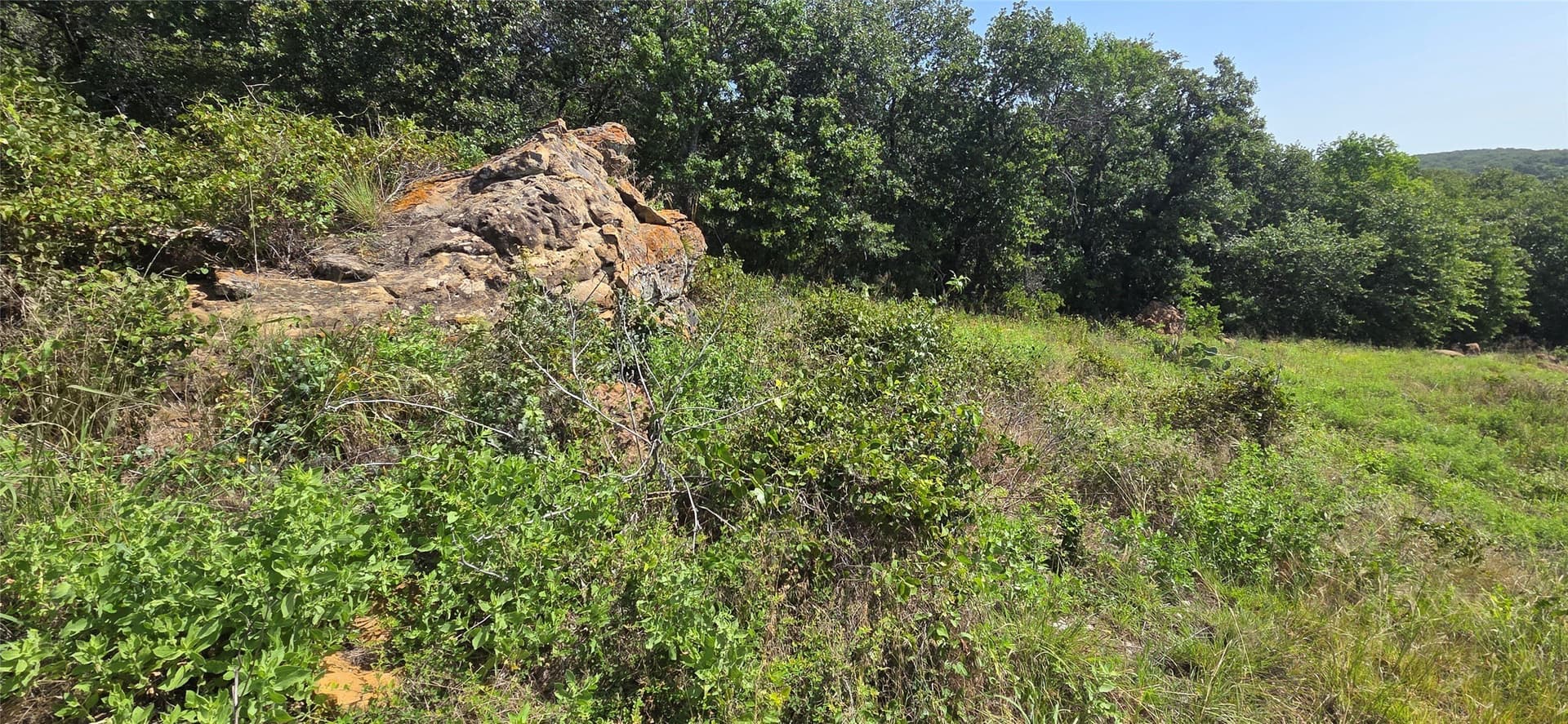116 acres in Jack County