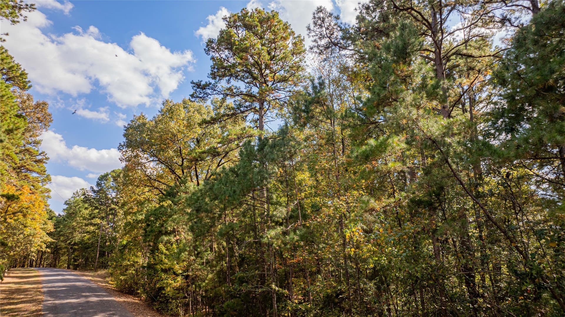 8.32 acres in Wood County - photo 13