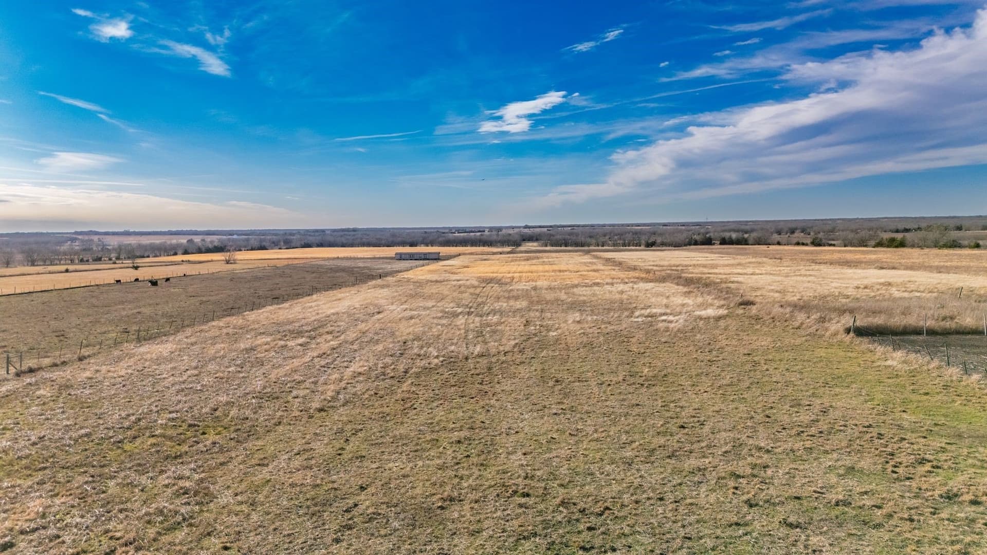 9.3 acres in Delta County gallery image 2