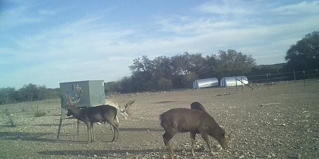 197.23 acres in Sutton County - photo 10