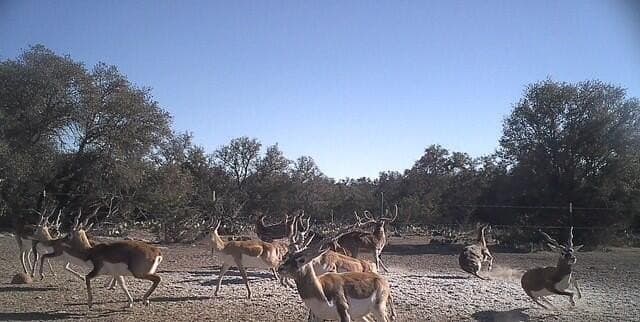 197.23 acres in Sutton County - photo 6