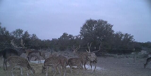 197.23 acres in Sutton County - photo 8