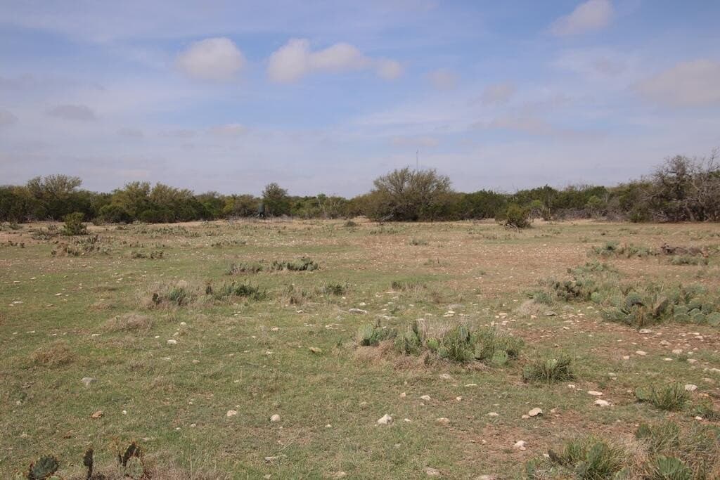 197.23 acres in Sutton County - photo 21