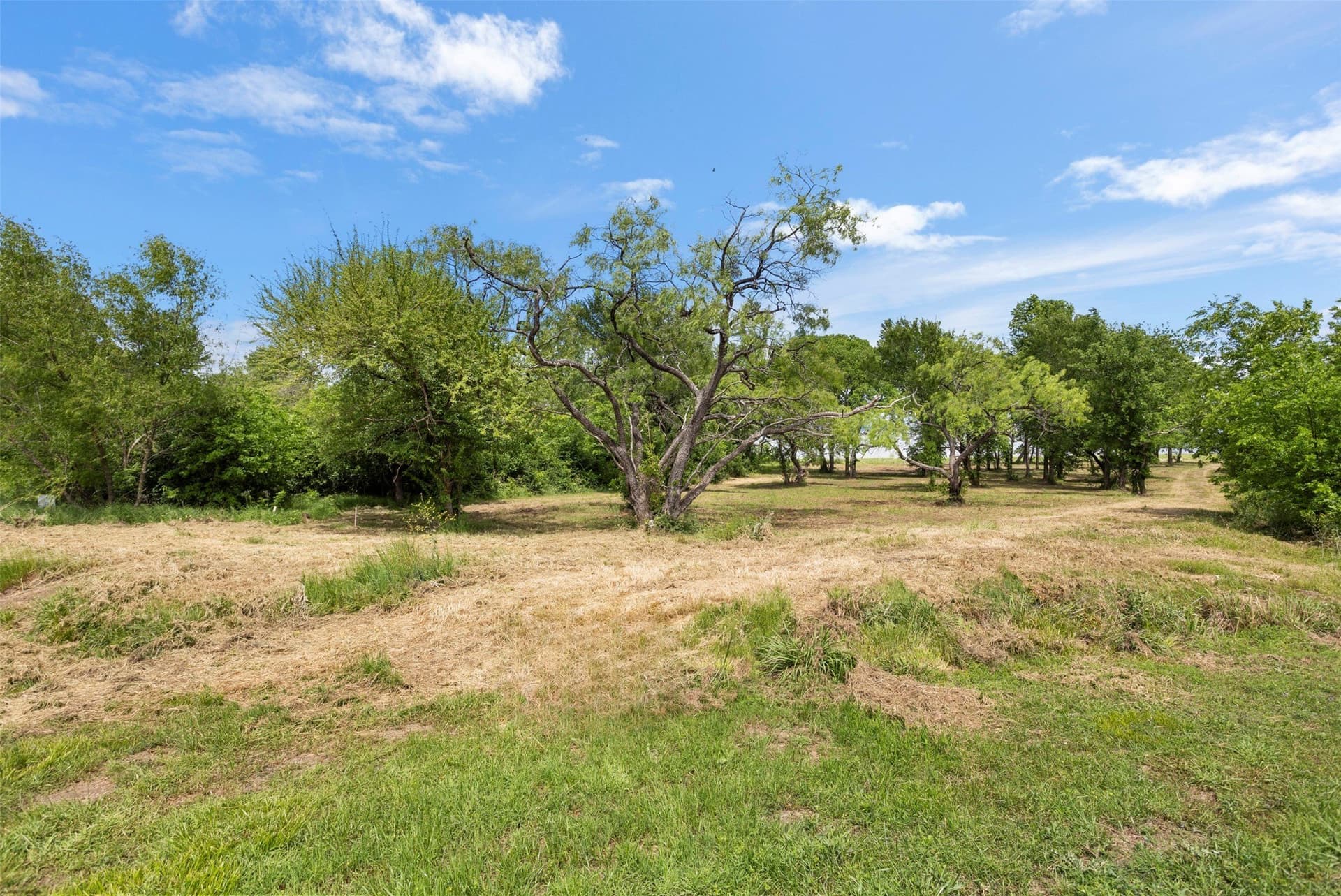 1.29 acres in Kaufman County - photo 9