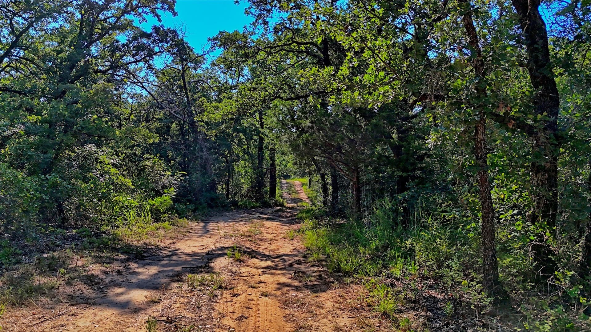21.05 acres in Montague County - photo 19