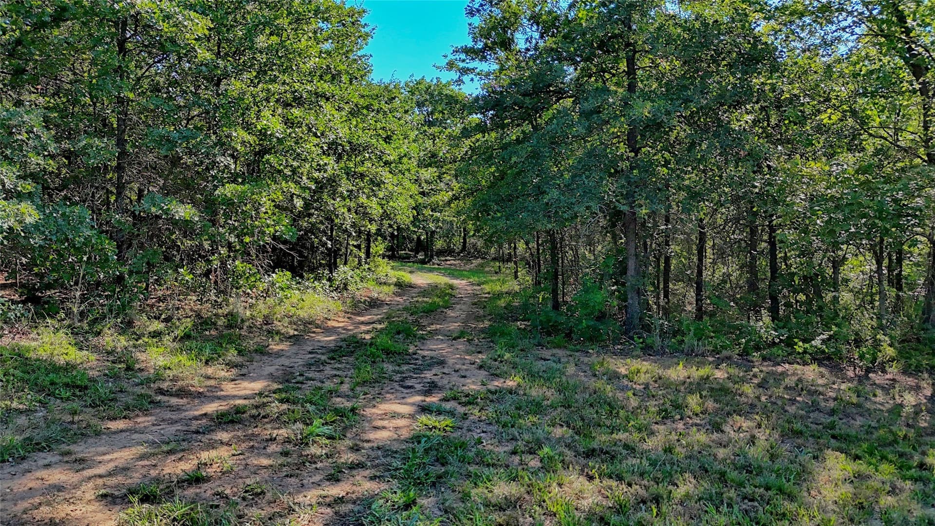 21.05 acres in Montague County - photo 10