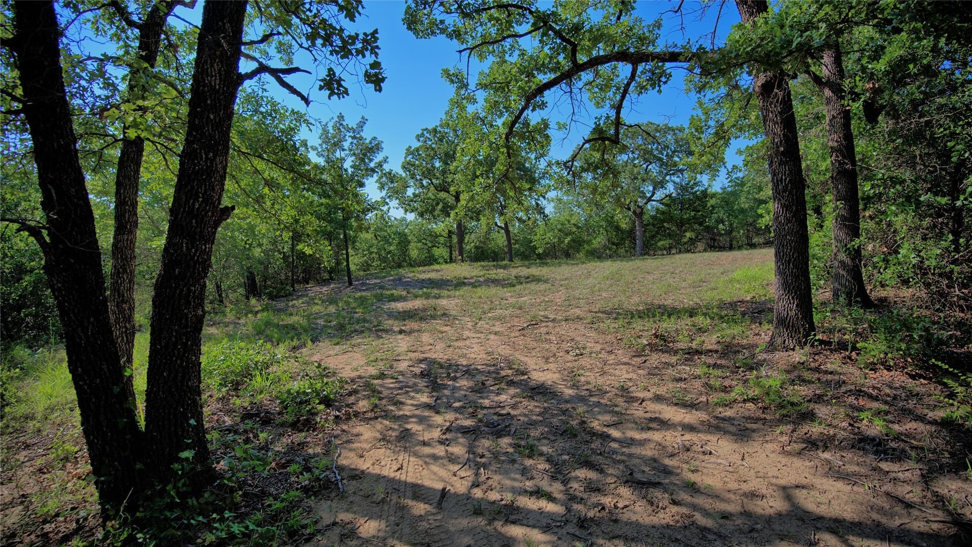 21.05 acres in Montague County - photo 11