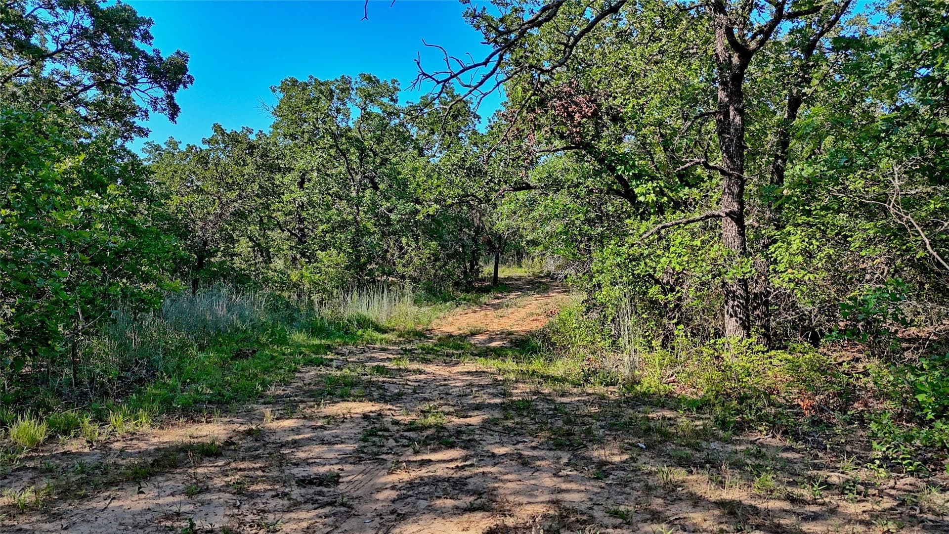 21.05 acres in Montague County - photo 32