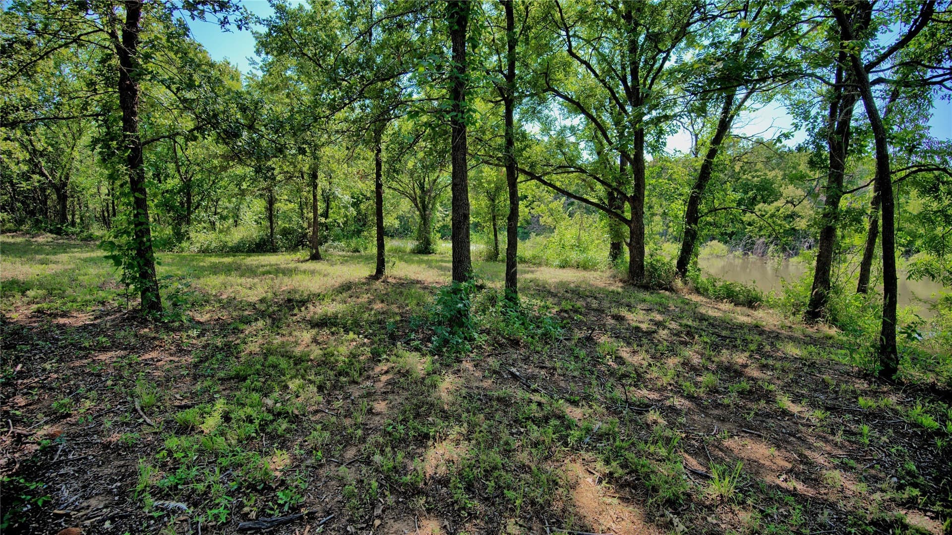 21.05 acres in Montague County - photo 4