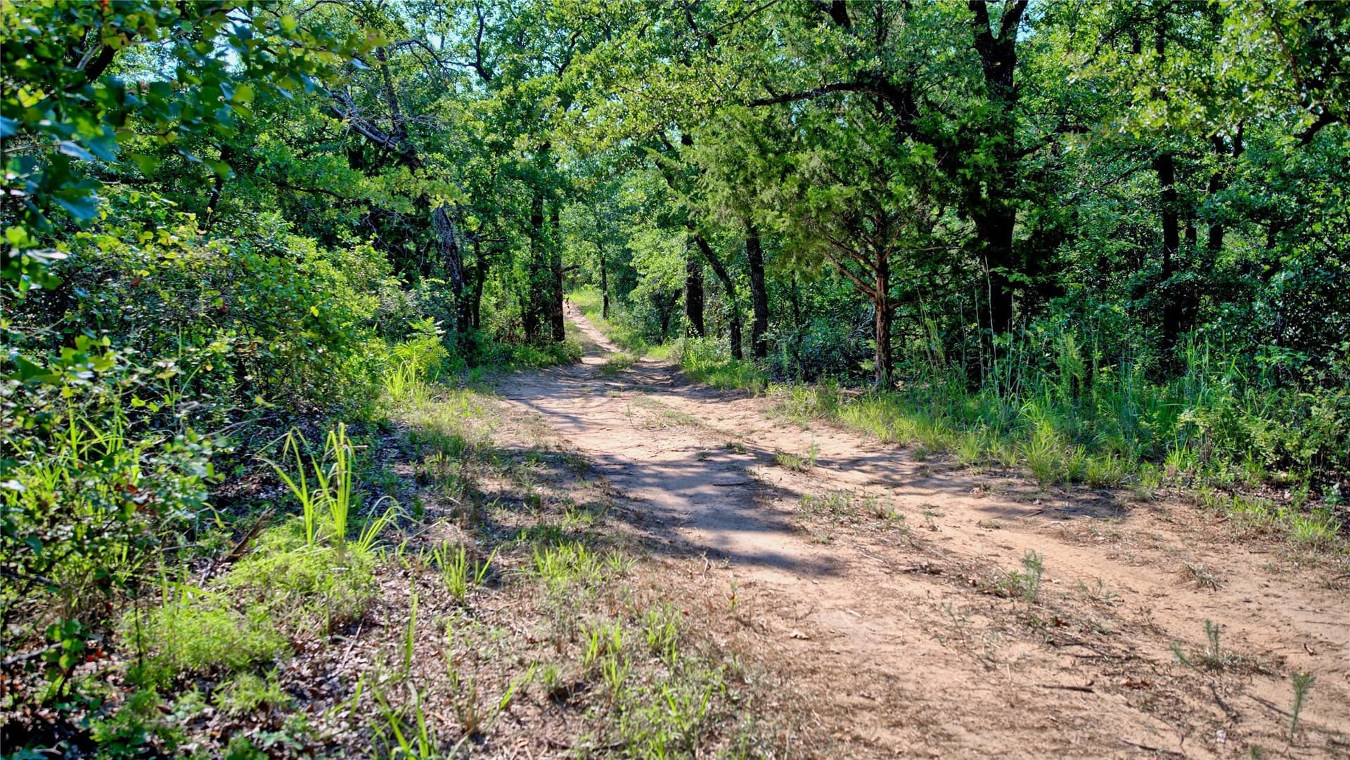 21.05 acres in Montague County - photo 29