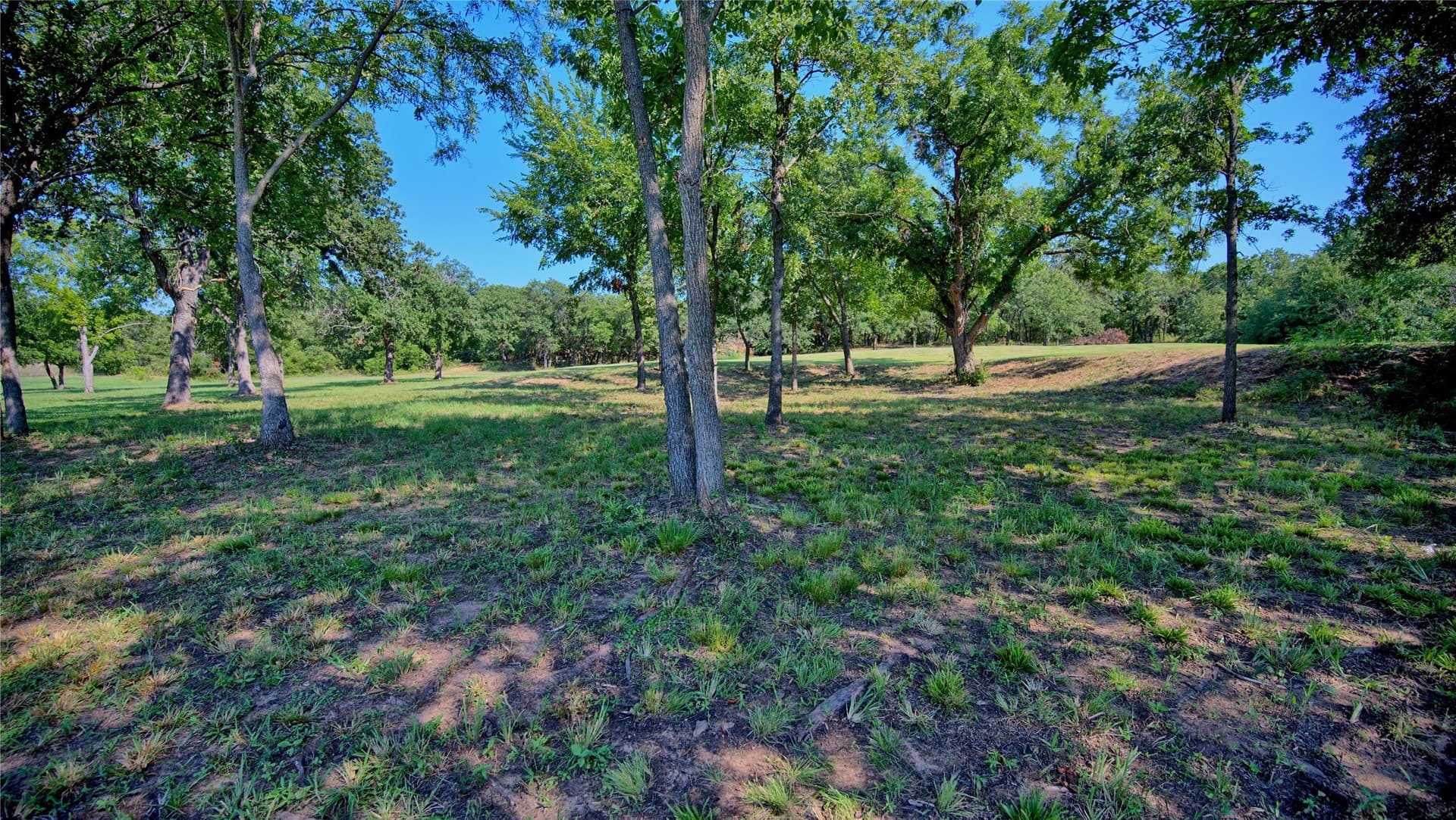 21.05 acres in Montague County - photo 36