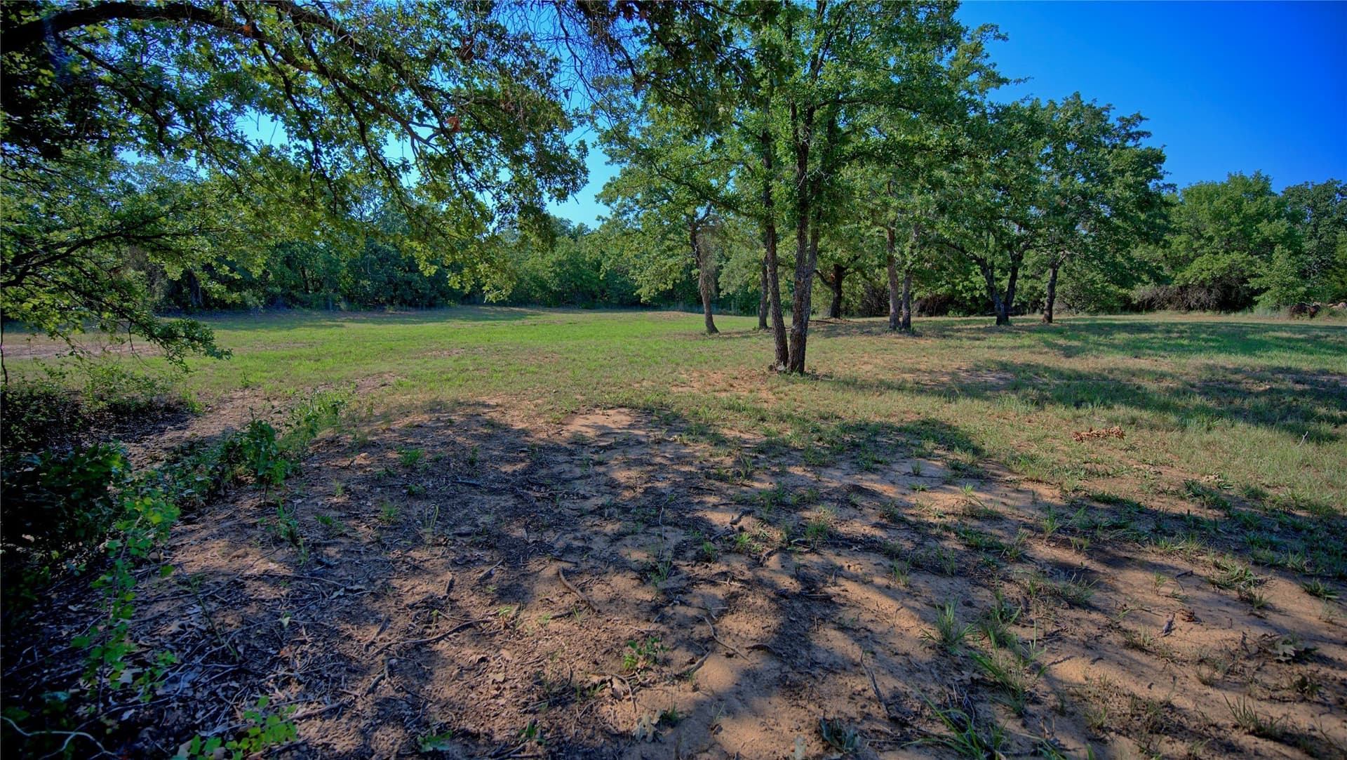 21.05 acres in Montague County - photo 7