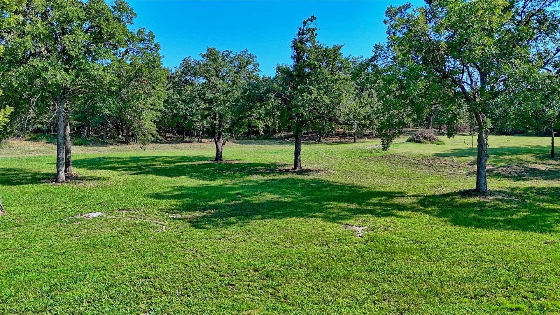 21.05 acres in Montague County - photo 30
