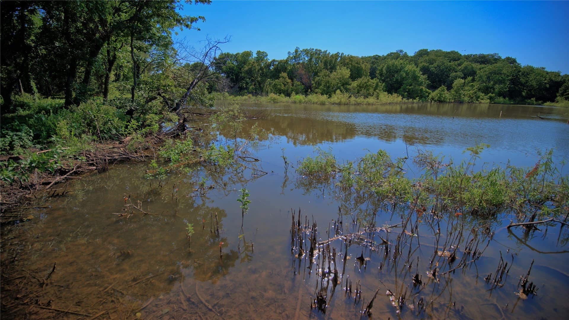 21.05 acres in Montague County - photo 6