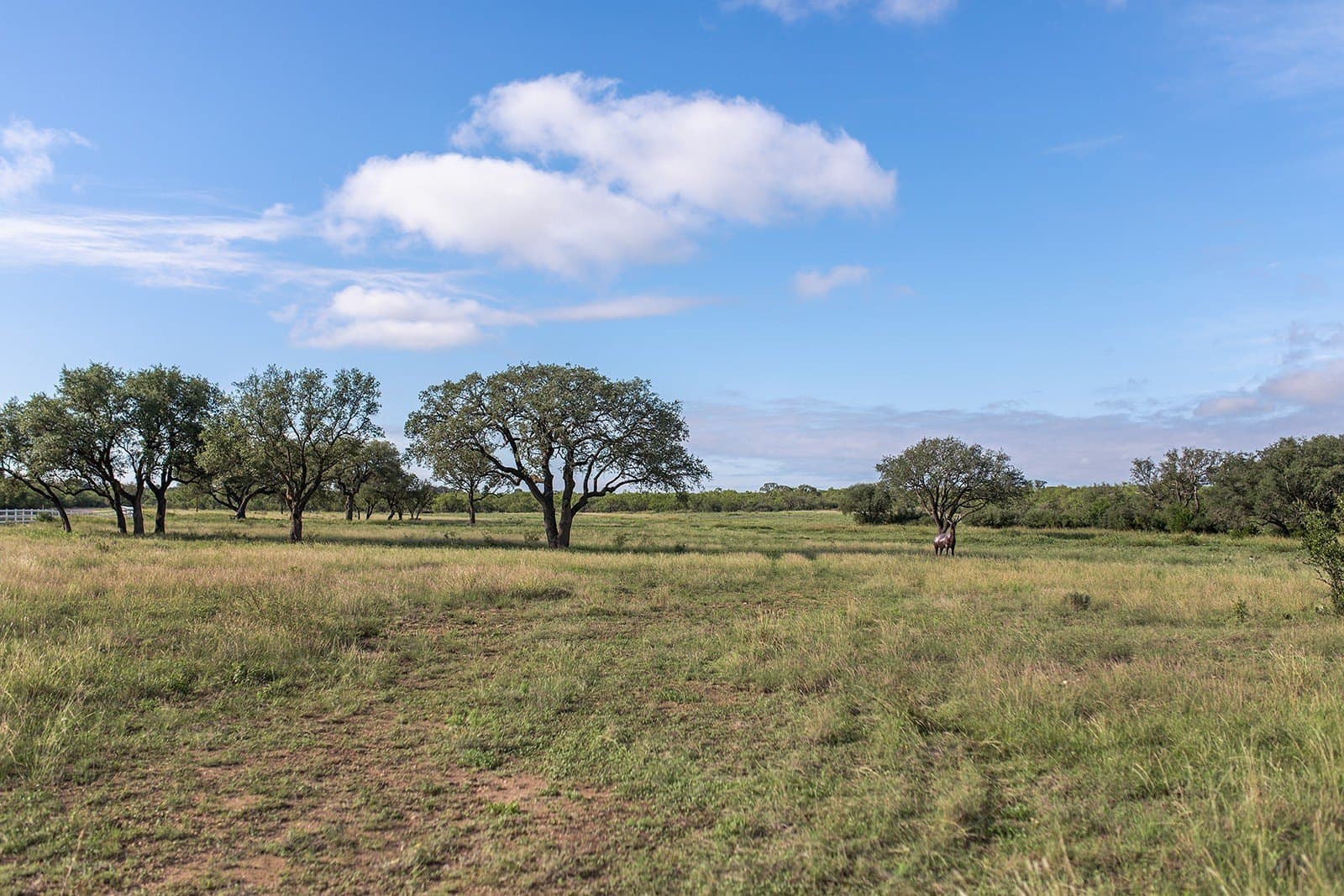41 acres in McCulloch County - photo 26